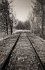 Tracks