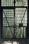 L1002028