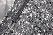 L1005679