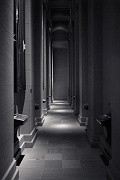 L1003594