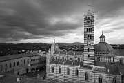 Siena