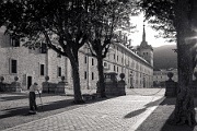 L1007291