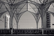 c29 dt